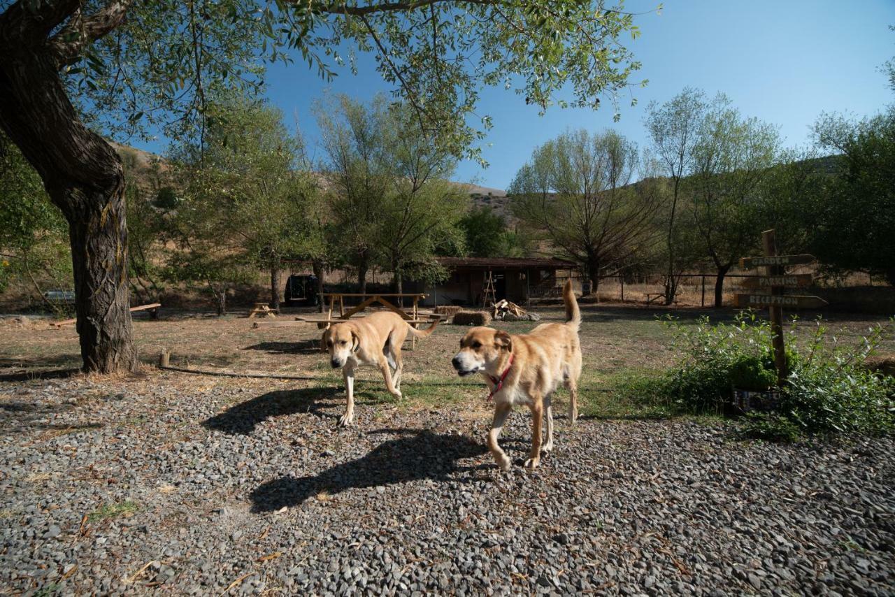 Orias Guesthouse & Farm カラブリタ エクステリア 写真